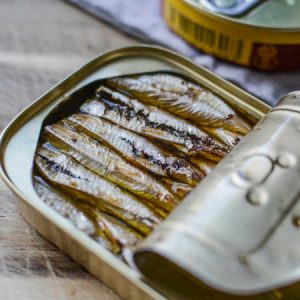 Canned Fish